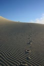 Eureka Sand Dunes