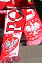 Euro 2012 fans insignia Royalty Free Stock Photo