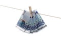 20 Euro bank notes hanging on clothesline Royalty Free Stock Photo