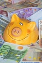 Euro Bank notes with a piggy bank showing Drowning in money Royalty Free Stock Photo