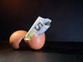 Euro Banknote in Cracked Eggshell - A five Euro banknote emerging from a cracked eggshell on a dark background, symbolizing Royalty Free Stock Photo