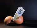 Euro Banknote in Cracked Eggshell - A five Euro banknote emerging from a cracked eggshell on a dark background, symbolizing Royalty Free Stock Photo