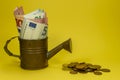 Euro banknotes in a copper watering can Royalty Free Stock Photo