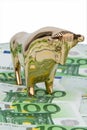 Euro banknotes. Bull and Bear Royalty Free Stock Photo