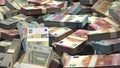Euro Banknotes Bundles Money European Union Currency â¬ EUR Piled, 3D Render