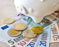 Euro banknotes and coins with piggy bank Royalty Free Stock Photo