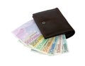 Euro banknotes from five up to five hundred in a purse Royalty Free Stock Photo