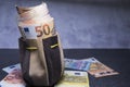 Euro banknotes in the pouch Royalty Free Stock Photo