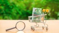 Euro banknotes in a shopping trolley and magnifying glass. The concept of finding sources of investment and sponsors. Find a money