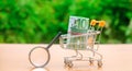 Euro banknotes in a shopping trolley and magnifying glass. The concept of finding sources of investment and sponsors. Find a money