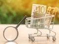 Euro banknotes in a shopping trolley and magnifying glass. The concept of finding sources of investment and sponsors. Find a money