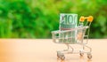 Euro banknotes in a supermarket trolley. Money Management. Money market. Sale, discounts and low prices. Gift certificate for