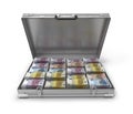 Euro bills in suitcase 3d Royalty Free Stock Photo