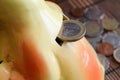 Euro coin with a denomination of 1 euro in hole of piggy bank, coins background Royalty Free Stock Photo