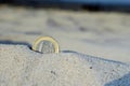 Euro coin in the sand Royalty Free Stock Photo