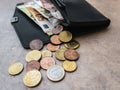 Euro coins beside open purse Royalty Free Stock Photo