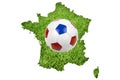 Euro cup symbol Royalty Free Stock Photo