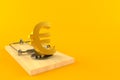 Euro currency with mousetrap