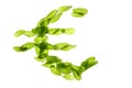 Euro currency symbol made of basil mint leaves Royalty Free Stock Photo