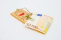 The Euro: a currency trap. Royalty Free Stock Photo