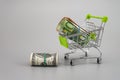 Euro and dollar banknotes in rolls with supermarket trolley on gray background. Royalty Free Stock Photo