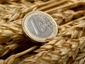 Euro and ears of wheat