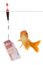 Euro and goldfish Royalty Free Stock Photo