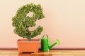 Euro green symbol in flowerpot with watering can. 3D rendering Royalty Free Stock Photo