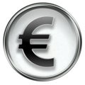 Euro icon grey