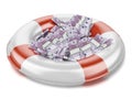 Euro in lifebuoy Royalty Free Stock Photo