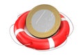 Euro on lifebuoy