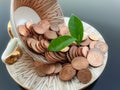 Euro money coins in a cup with plant outgrowth Royalty Free Stock Photo