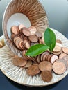 Euro money coins in a cup with plant outgrowth Royalty Free Stock Photo