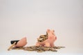 Euro money coins spilling out of a piggy bank on a white background. Savings, inflation, economy concept Royalty Free Stock Photo