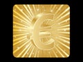 Euro money icon