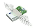 Euro Money Wings Flying Isolated