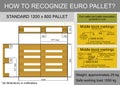 Euro pallet infographics Royalty Free Stock Photo