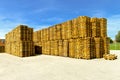 Euro pallets Royalty Free Stock Photo