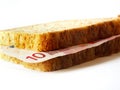 Euro sandwich Royalty Free Stock Photo