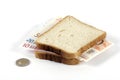 Euro sandwich Royalty Free Stock Photo