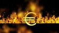 Euro Sign Burning Hot Word in Fire
