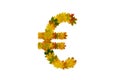 Euro sign from green, yellow and orange autumn maple leaves isolated on white background Royalty Free Stock Photo