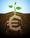 Euro sign like root of plant