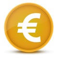 Euro sign luxurious glossy yellow round button abstract Royalty Free Stock Photo