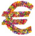 Euro sign from summer flowers Royalty Free Stock Photo