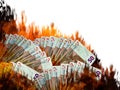 Euro stock marketcall or collapse. Money notes in flames. Invest Royalty Free Stock Photo