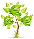 Euro tree Royalty Free Stock Photo