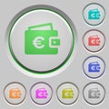 Euro wallet push buttons Royalty Free Stock Photo