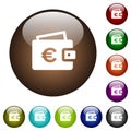 Euro wallet color glass buttons Royalty Free Stock Photo