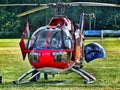 Eurocopter MBB Bo-105 of The Flying Bulls on grass airfield.